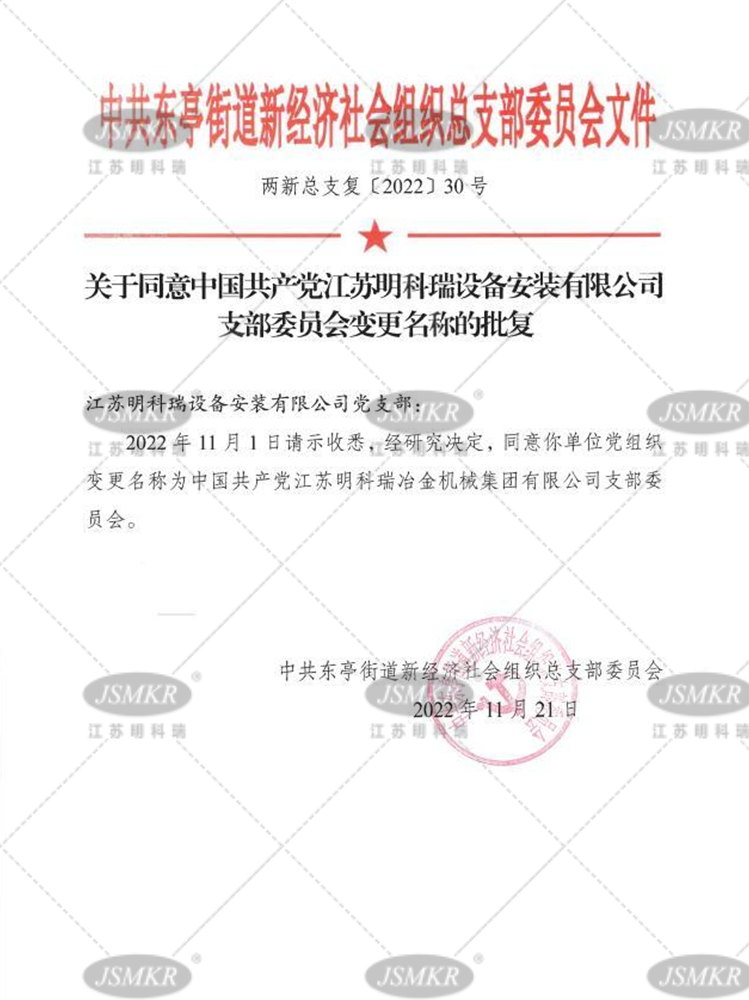 中(zhōng)共東亭街(jiē)道新(xīn)經濟社會組織總支部委員會文(wén)件.png